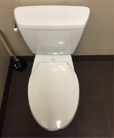 Pre-retrofit 6 LPF toilet
