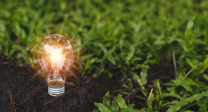 lightbulb in grass
