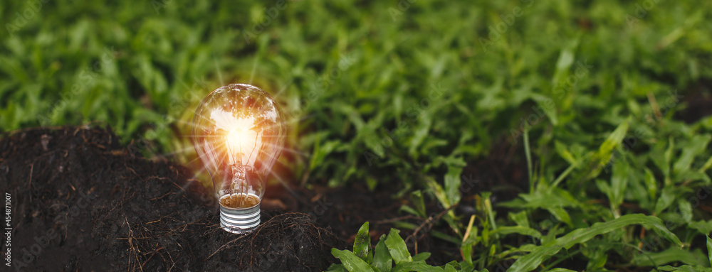 lightbulb in grass